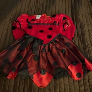 Lady bug costume size 12 month little girl.
